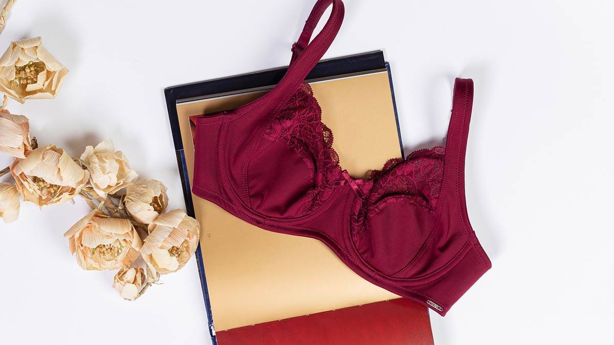 سایز بزرگ large size bra